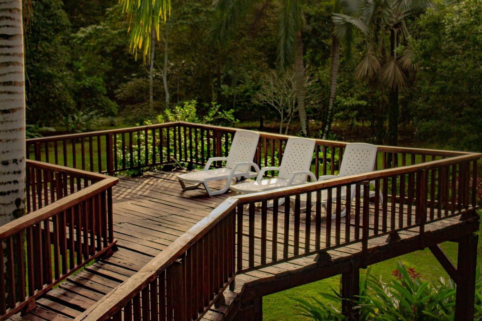 Casa Heliconia - Spacious, Big Garden, Close To The Beach Puerto Viejo de Talamanca Exterior photo